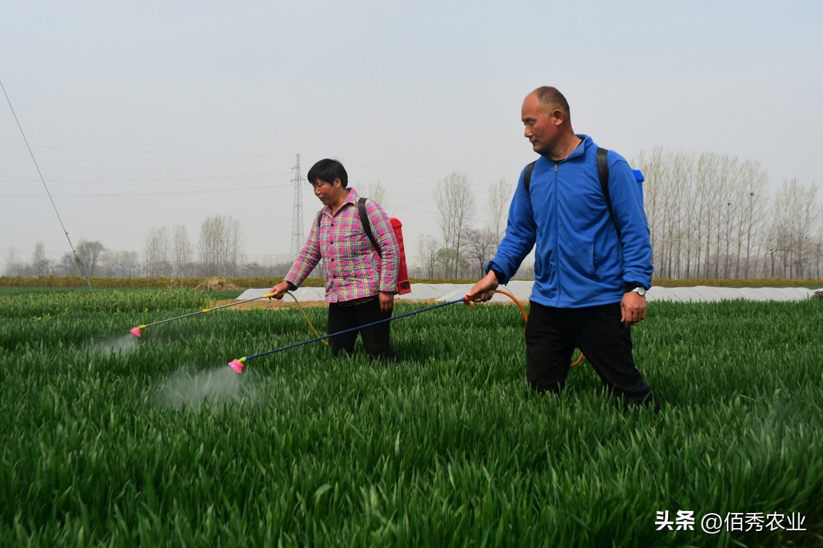 噻虫嗪含量和价格,噻虫嗪是第几代杀虫剂