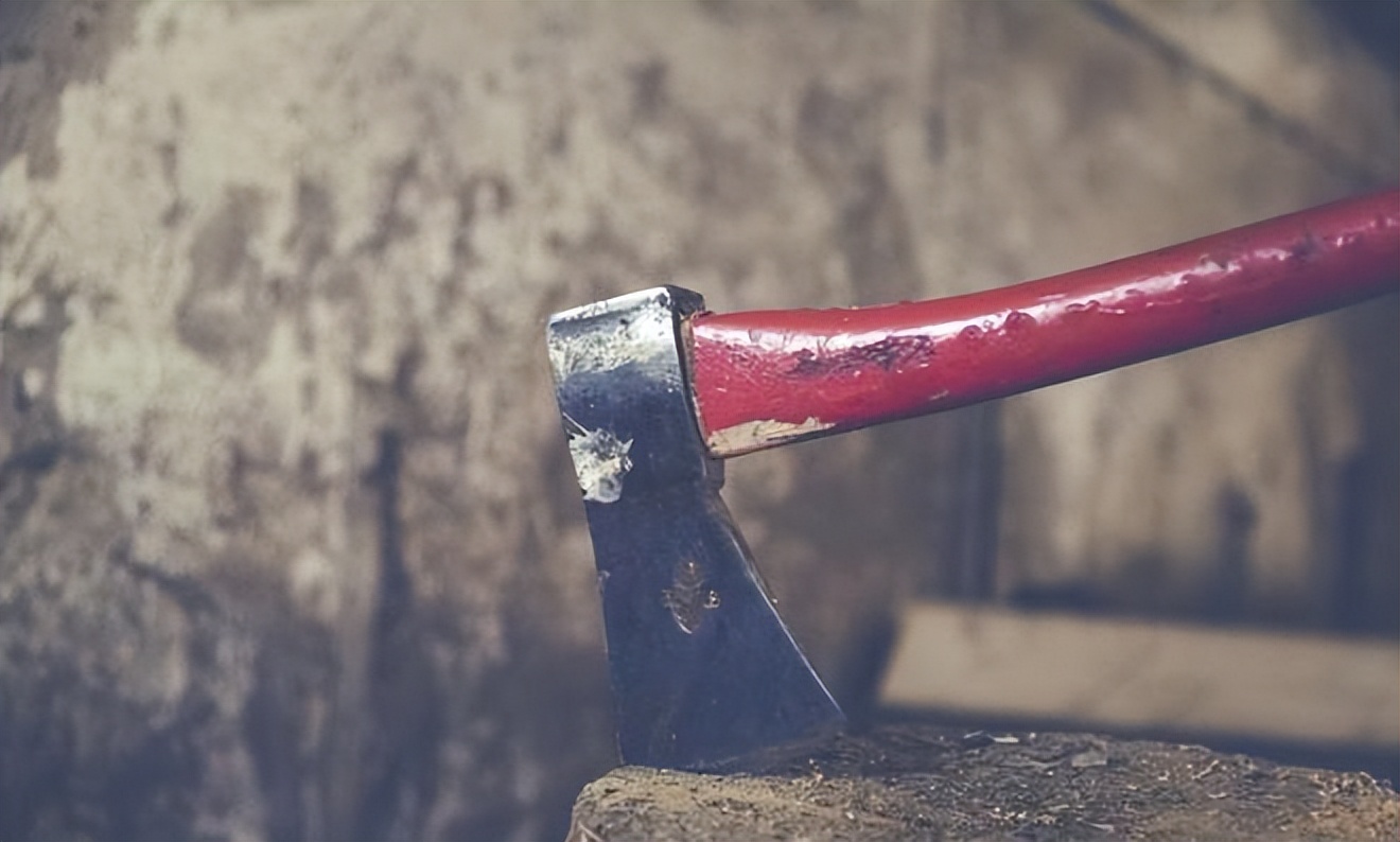 盘点十大难以杀死的动物,被砍了头的鸡还能活多久