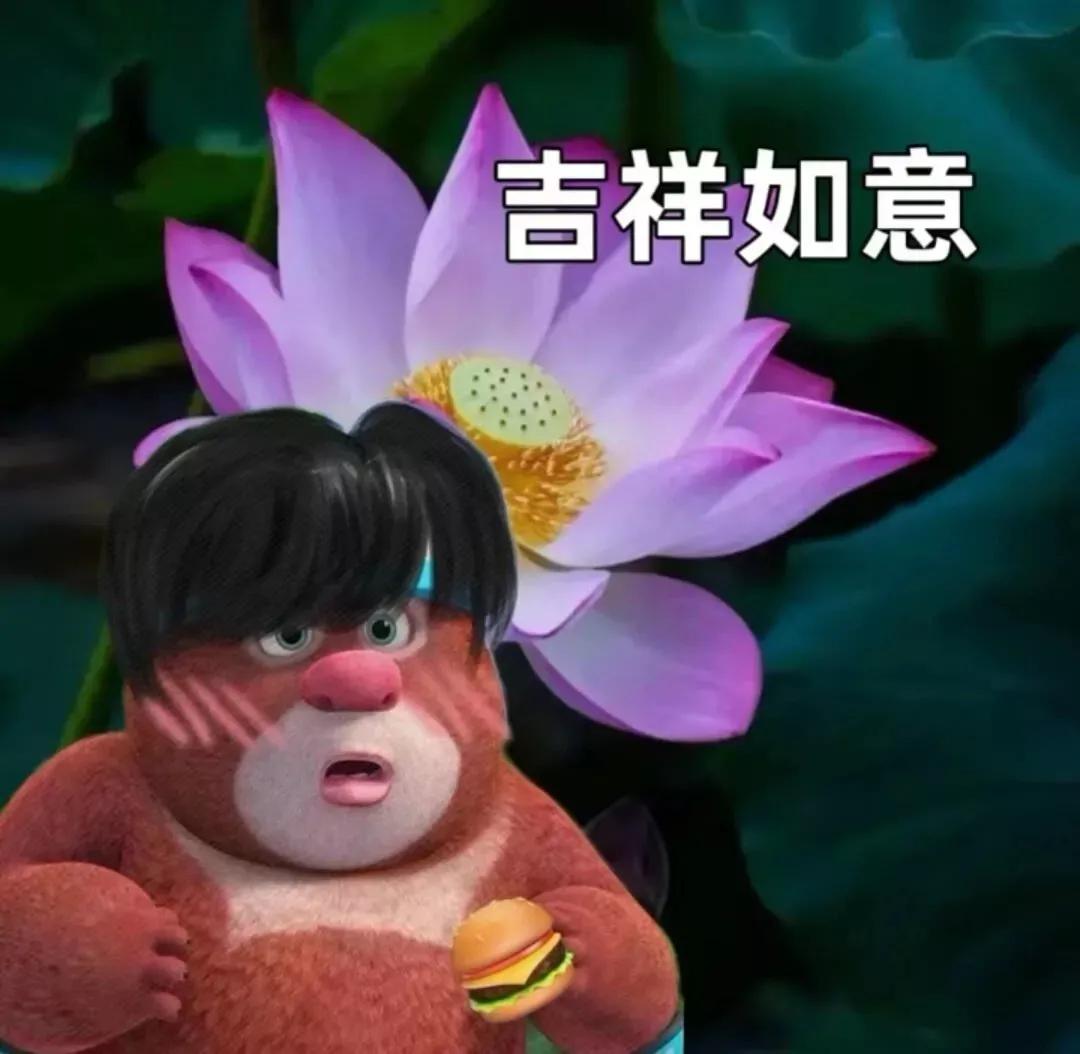 熊熊姐姐做手账,熊熊姐姐公园视频