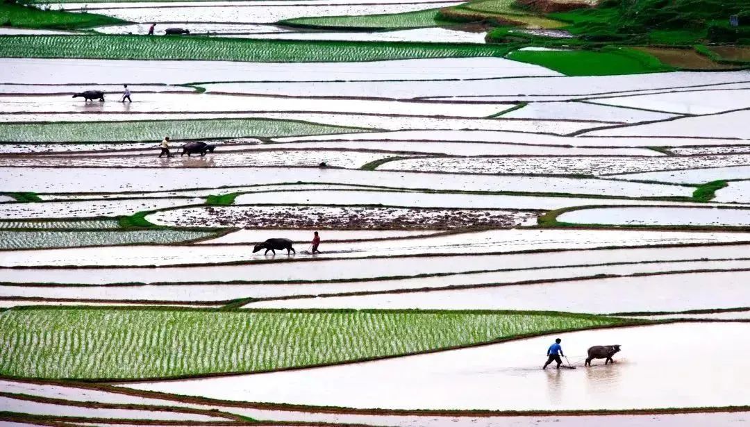 悬念揭晓在即,悬念揭晓视频