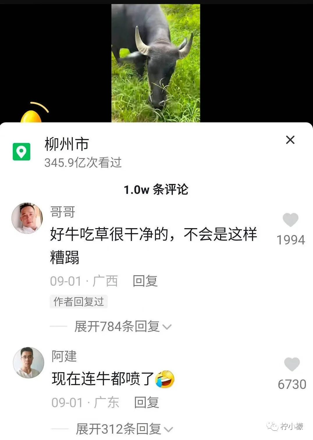 向女神表白最尴尬的事 (发消息向女神表白很久才回复)