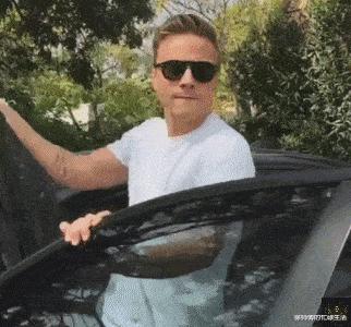 学生适合在宿舍里养的小宠物,在宿舍偷偷养的小宠物