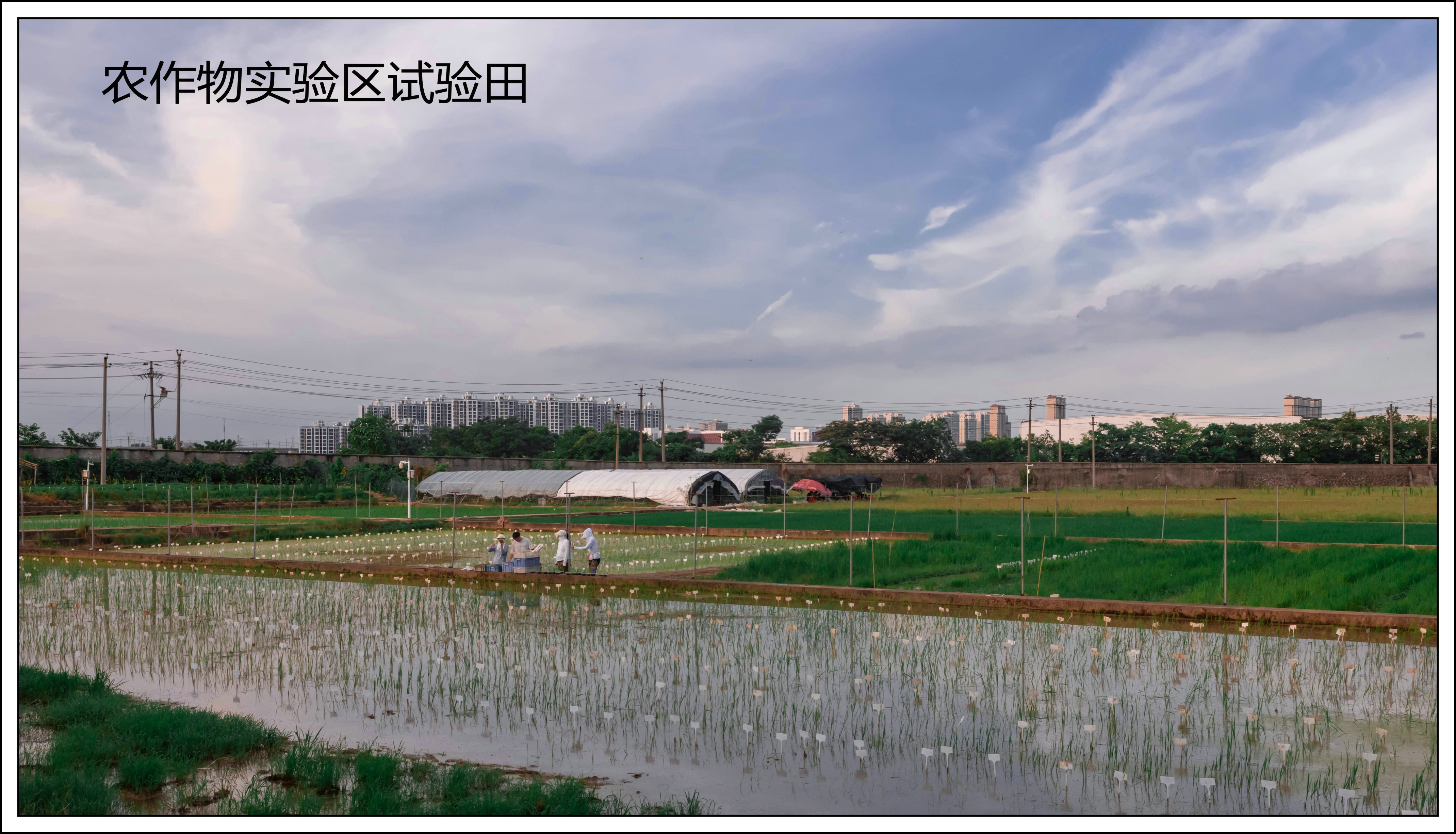 江西农业大学南区排名,江西农业大学探校