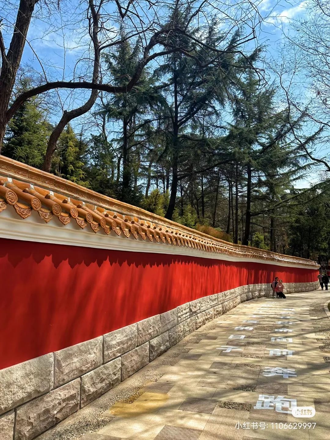 青岛最值得去的拍照打卡地,青岛最适合拍照的十个地方