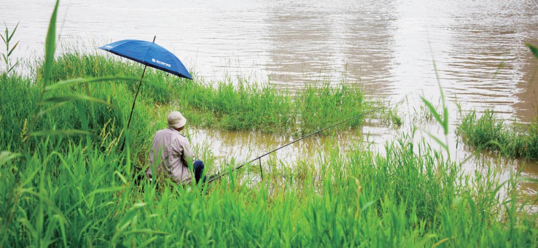 现在怎么钓乌鱼技巧图解,乌鱼最好钓的方法