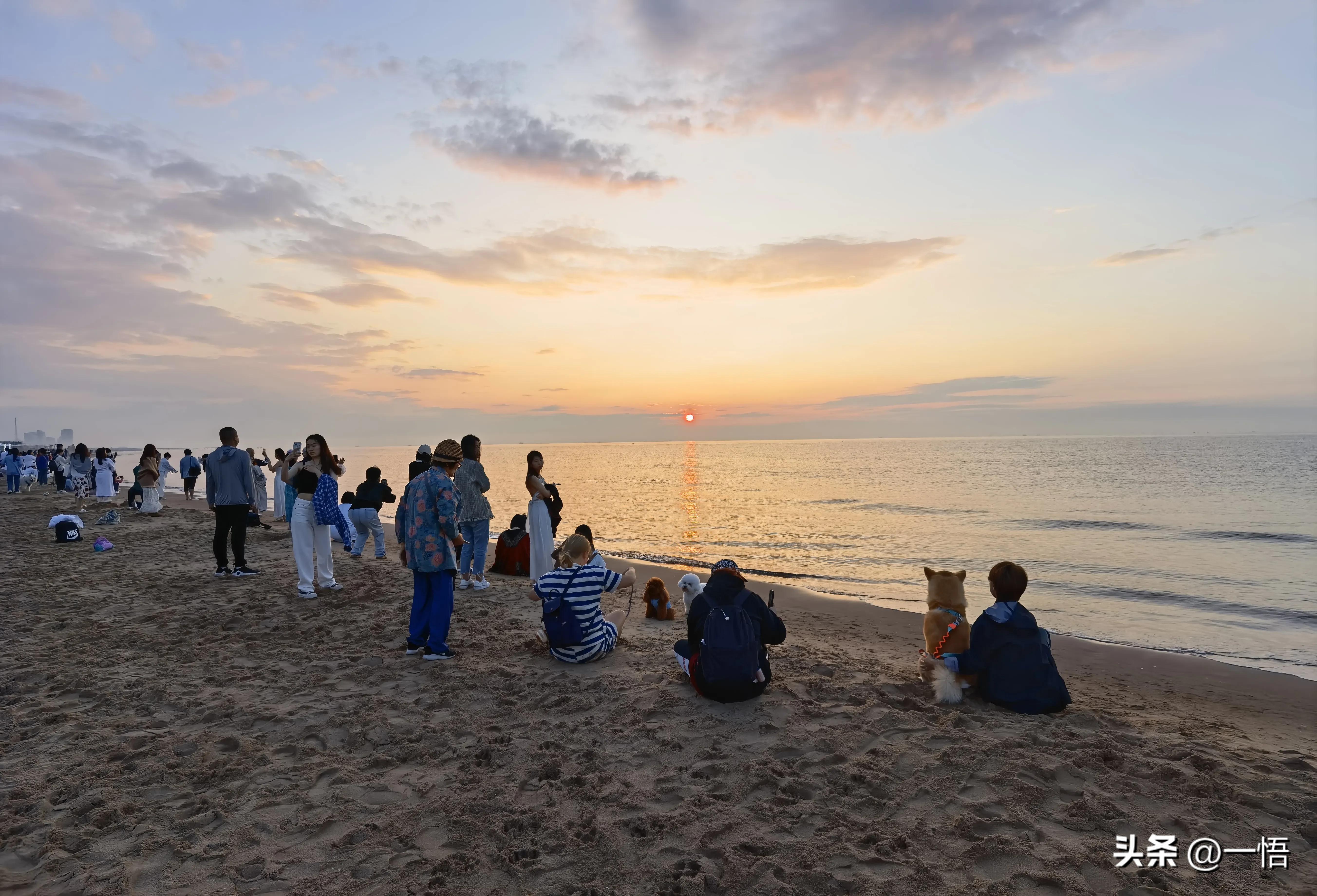 2023上海到秦皇岛承德十日游第四天：看阿那亚的海，逢犬舍的安娜