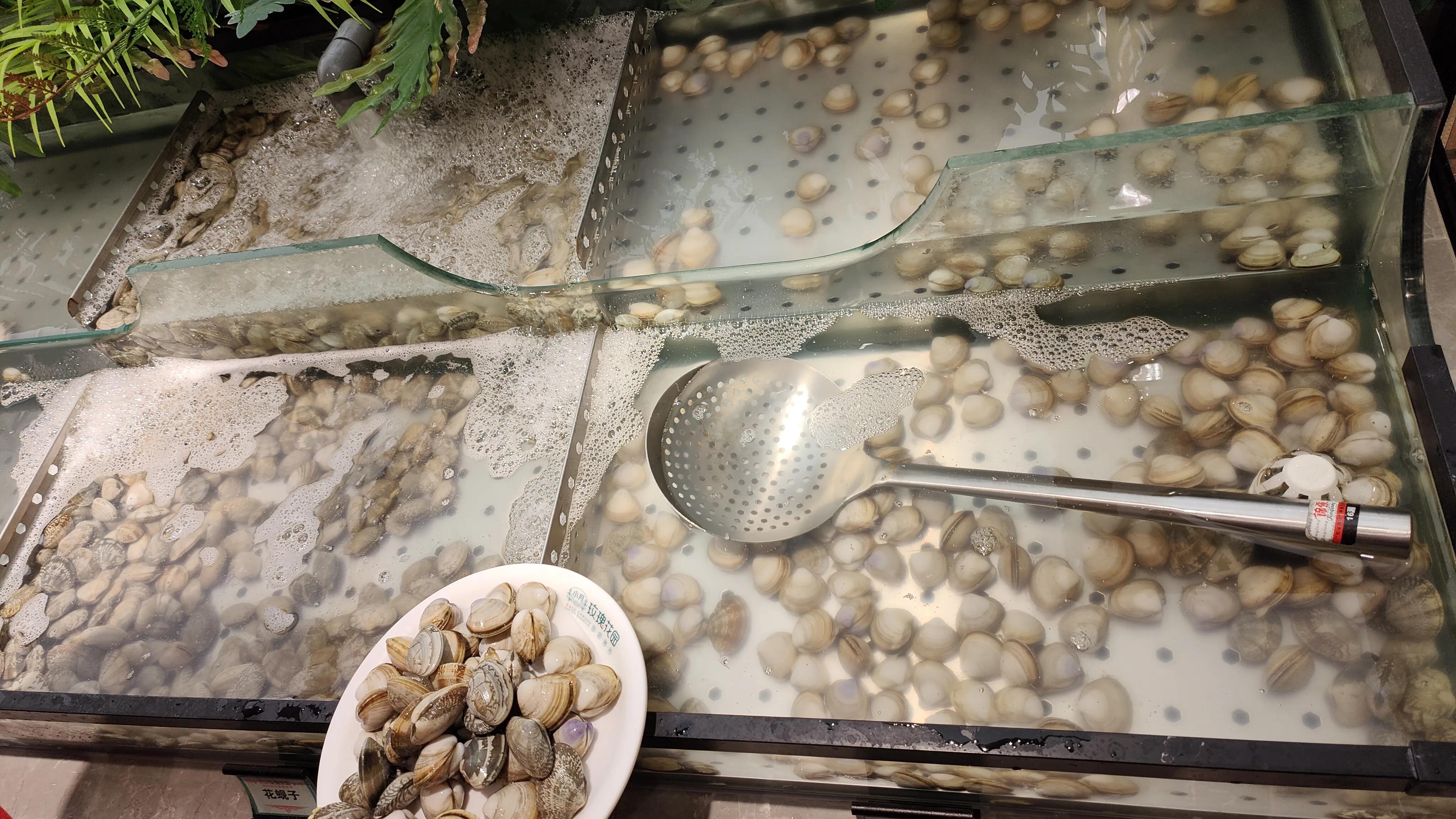 北京天花板烤肉自助,北京自助烤肉排名前十