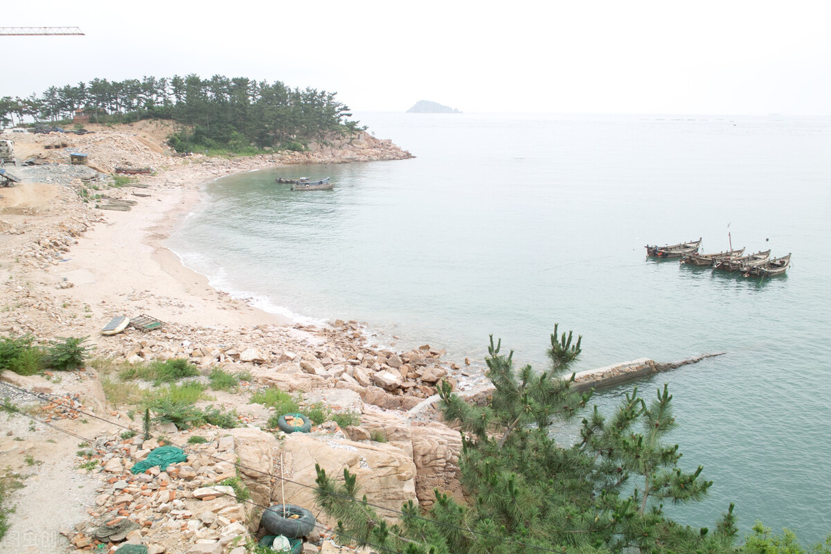 青岛疫情期间哪些景区免费,青岛疫情免费景区