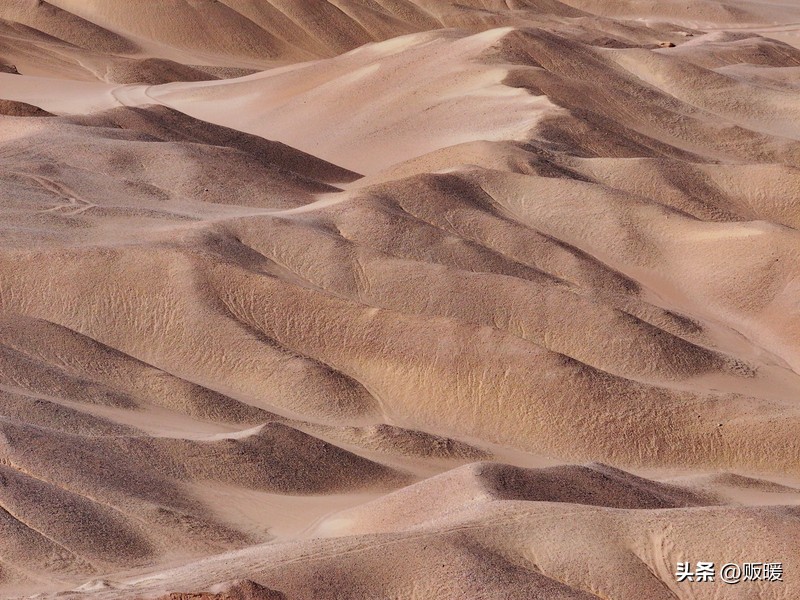青海｜热爱西风和烈酒，也爱孤独和自由