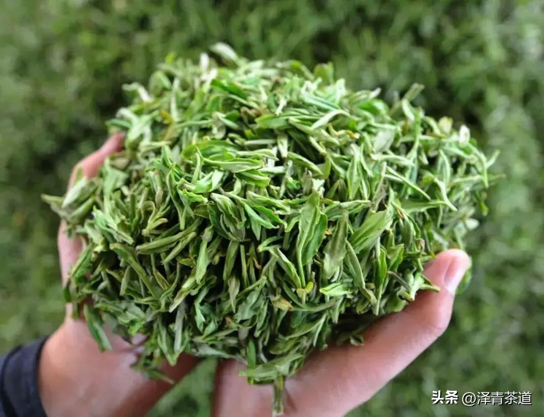 谷雨适合喝什么茶,谷雨喝什么茶叶