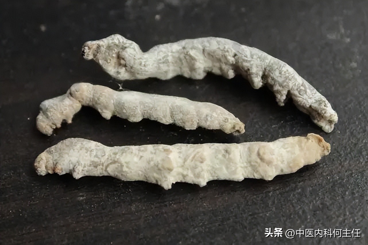 息肉总复发？献给大家4味中药,化瘀散结,一路收,一路散,一路泻