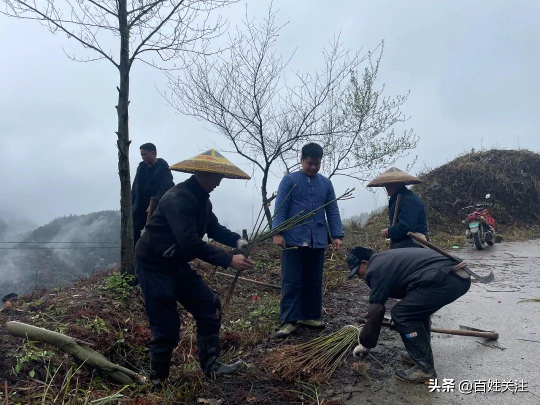 辞职后我决定徒步一百座山,辞职后我回仙村当农民