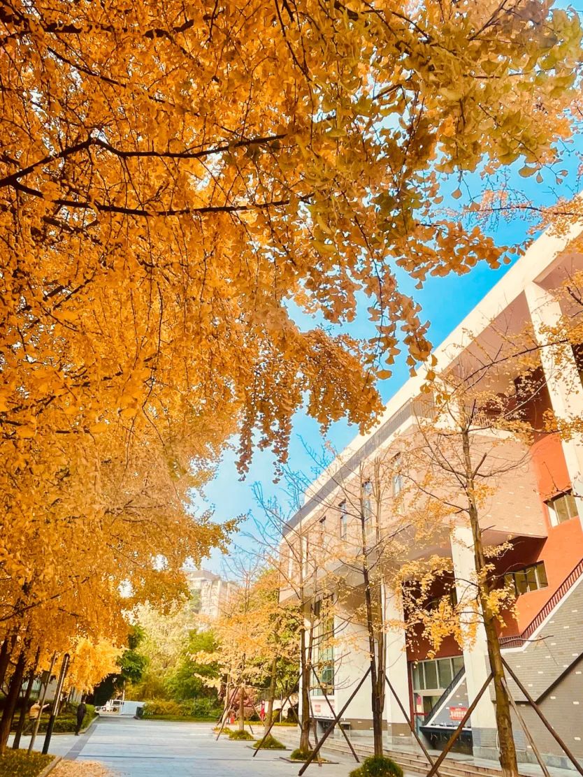 成都七中致学生的一封信,成都七中一封信