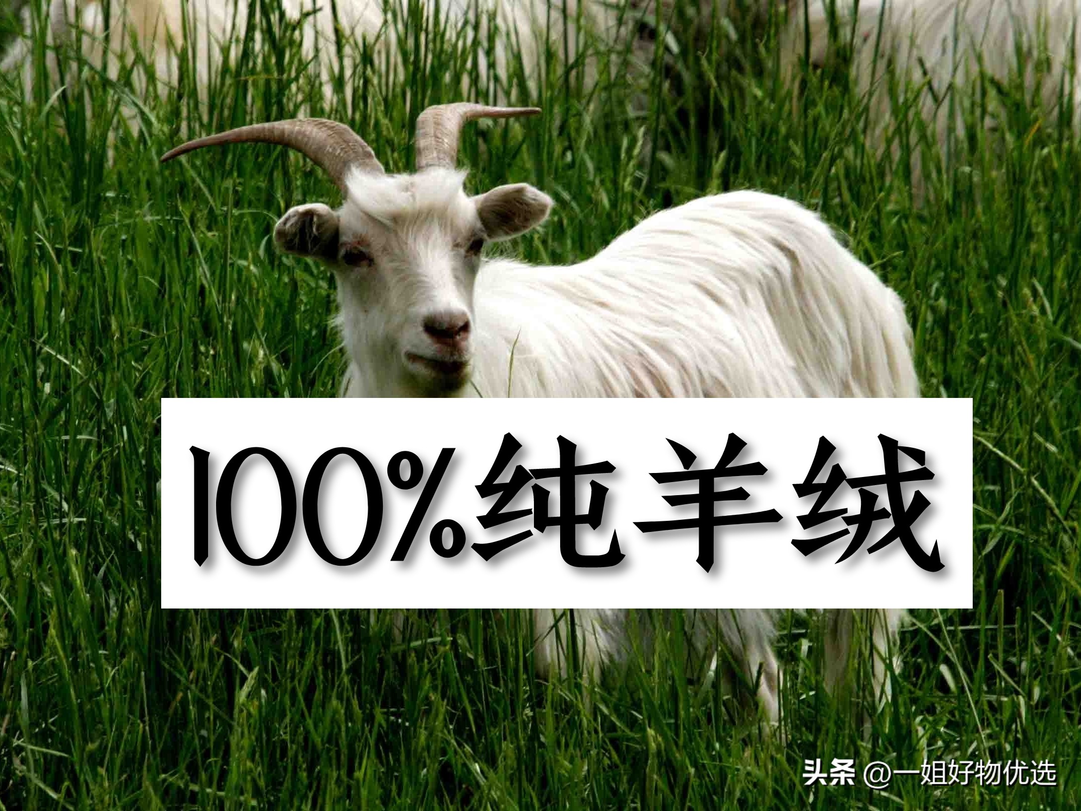 十大奢侈品饰品排行榜,奢侈品围巾品牌价格