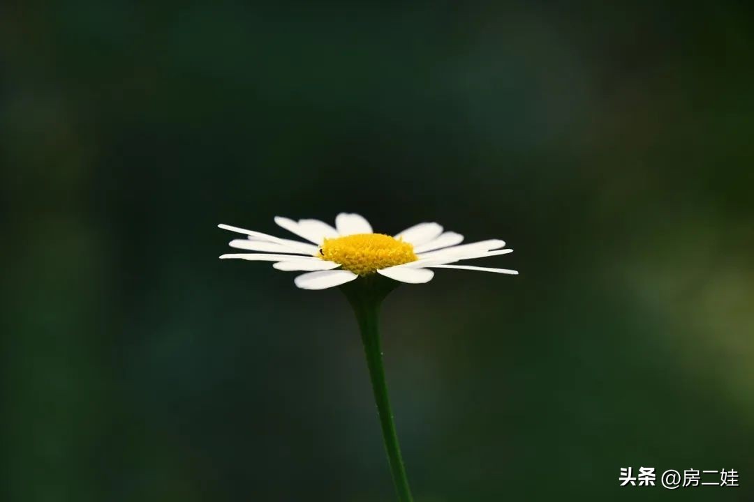 骏景花园的房子值不值得买,7万的骏景花园值得入手吗