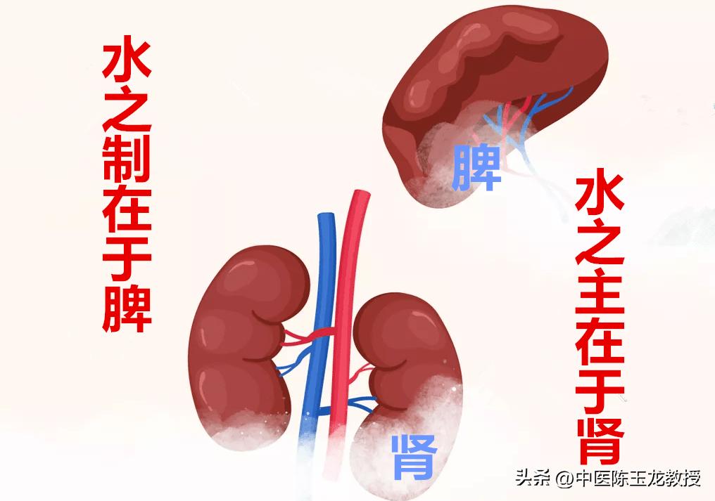 中医驱寒祛湿最有效的方法,中医的祛湿与补气的方法
