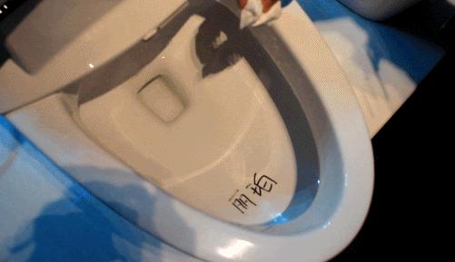 智能马桶有没有必要买最好的,智能马桶值得购买吗