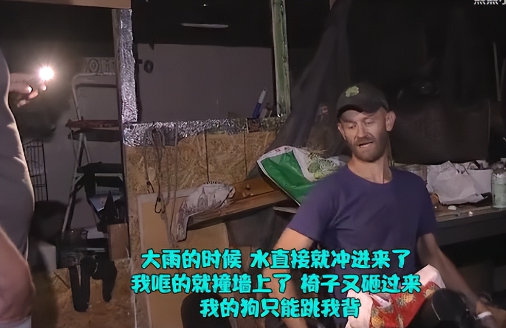 美国老鼠泛滥死了多少人,美国下水道老鼠