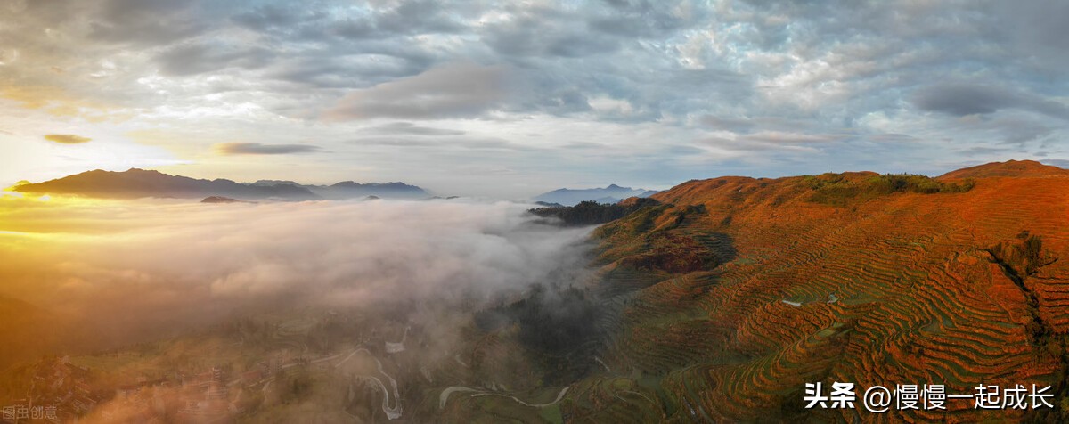 细菌是怎么维持生命的,细菌到底是怎么来的