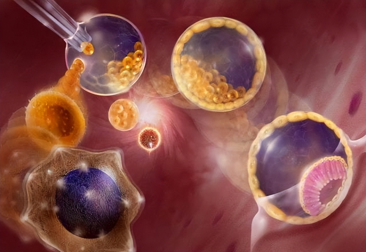 橘子治子宫肌瘤,桔子子宫肌瘤