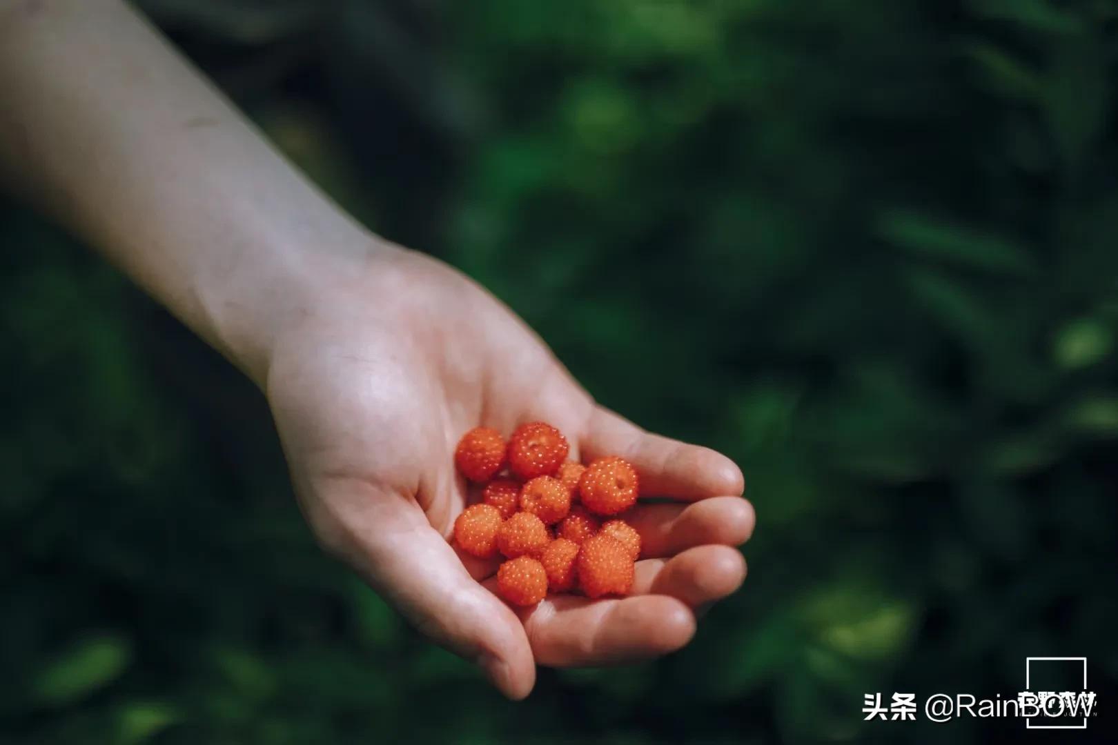 大自然中的小生命,大自然新生命的诞生