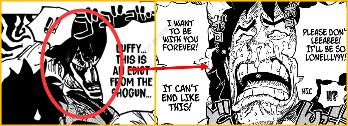 海贼王第1074话预测,海贼王1071话测评