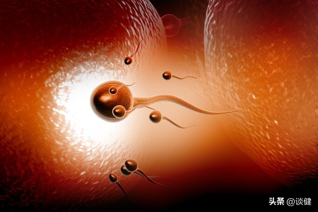 科学家预测男性精子数量为0,男性精子最新研究报告