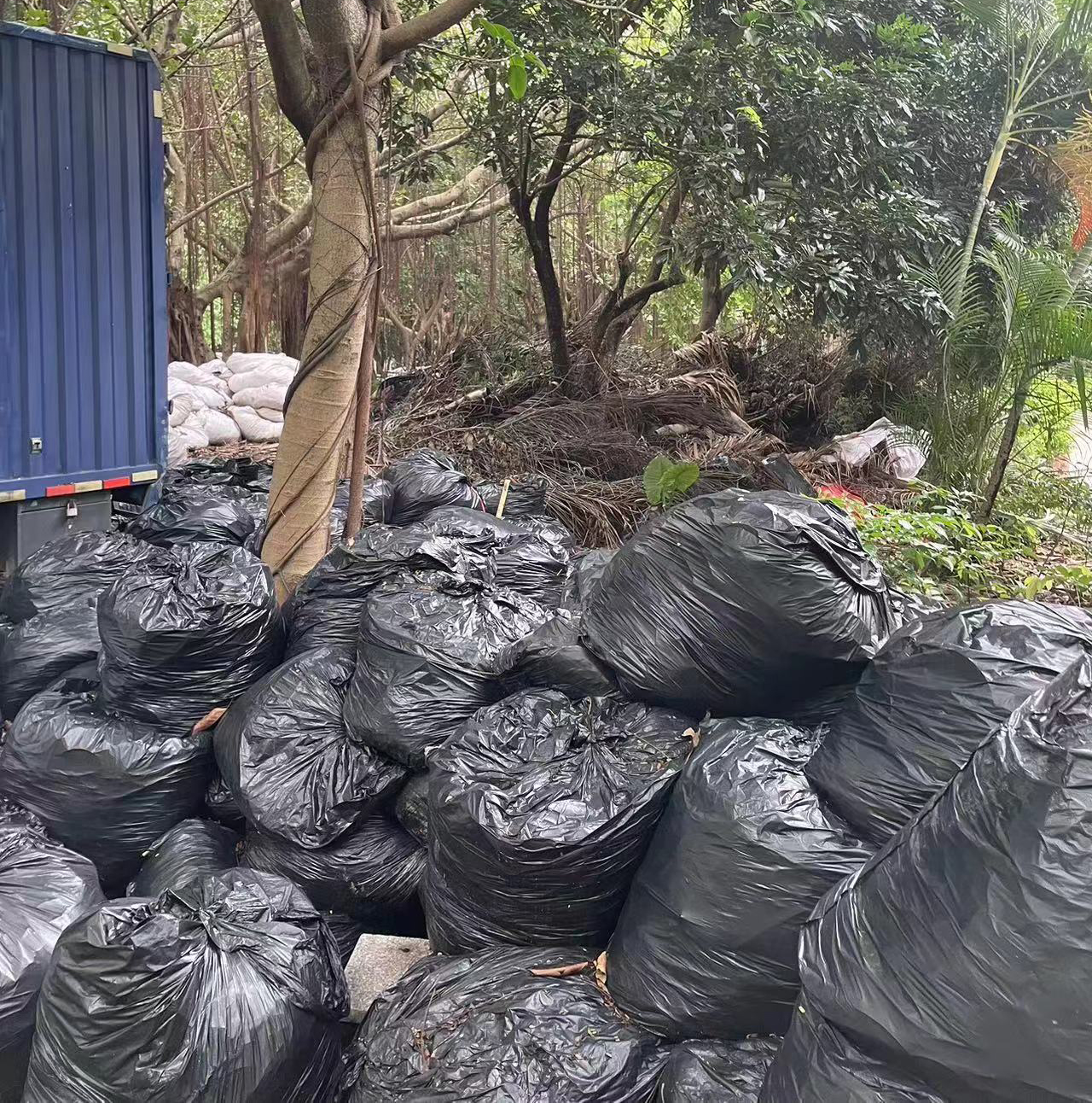 中山市坦洲镇中澳新城在*今条头日**上火了，快围观！