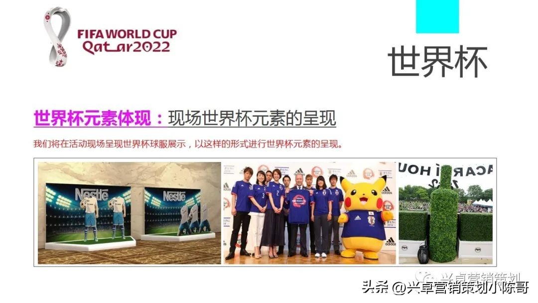 卡塔尔世界杯集装箱场馆,卡塔尔世界杯酒吧活动