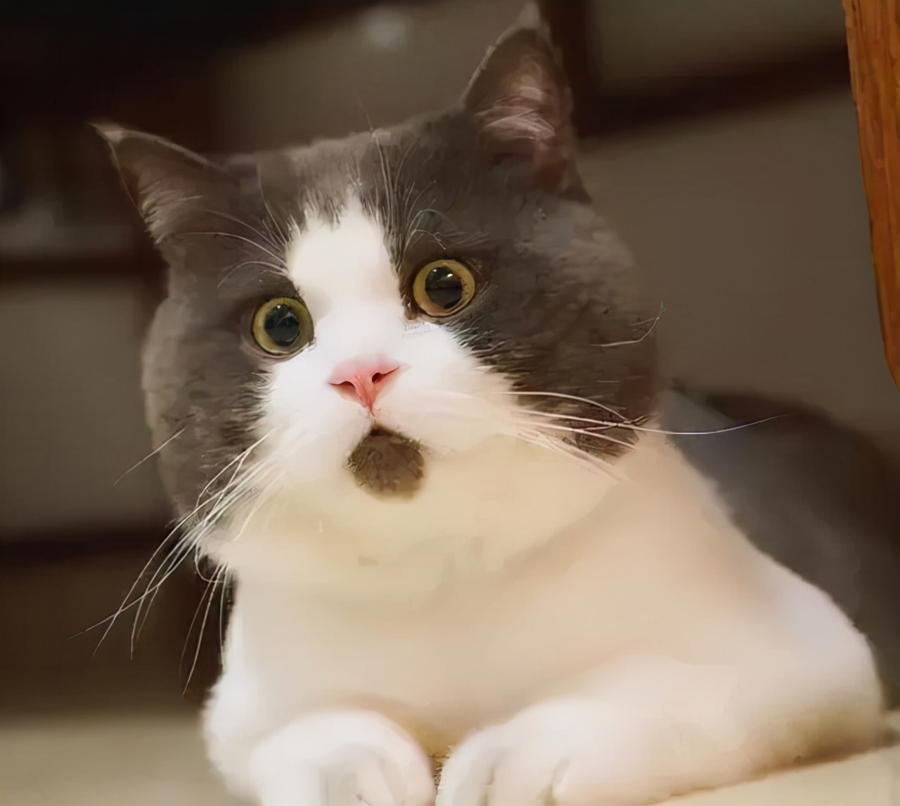 网络投资平台被骗了追回可能性,网络投资被骗钱能追回来