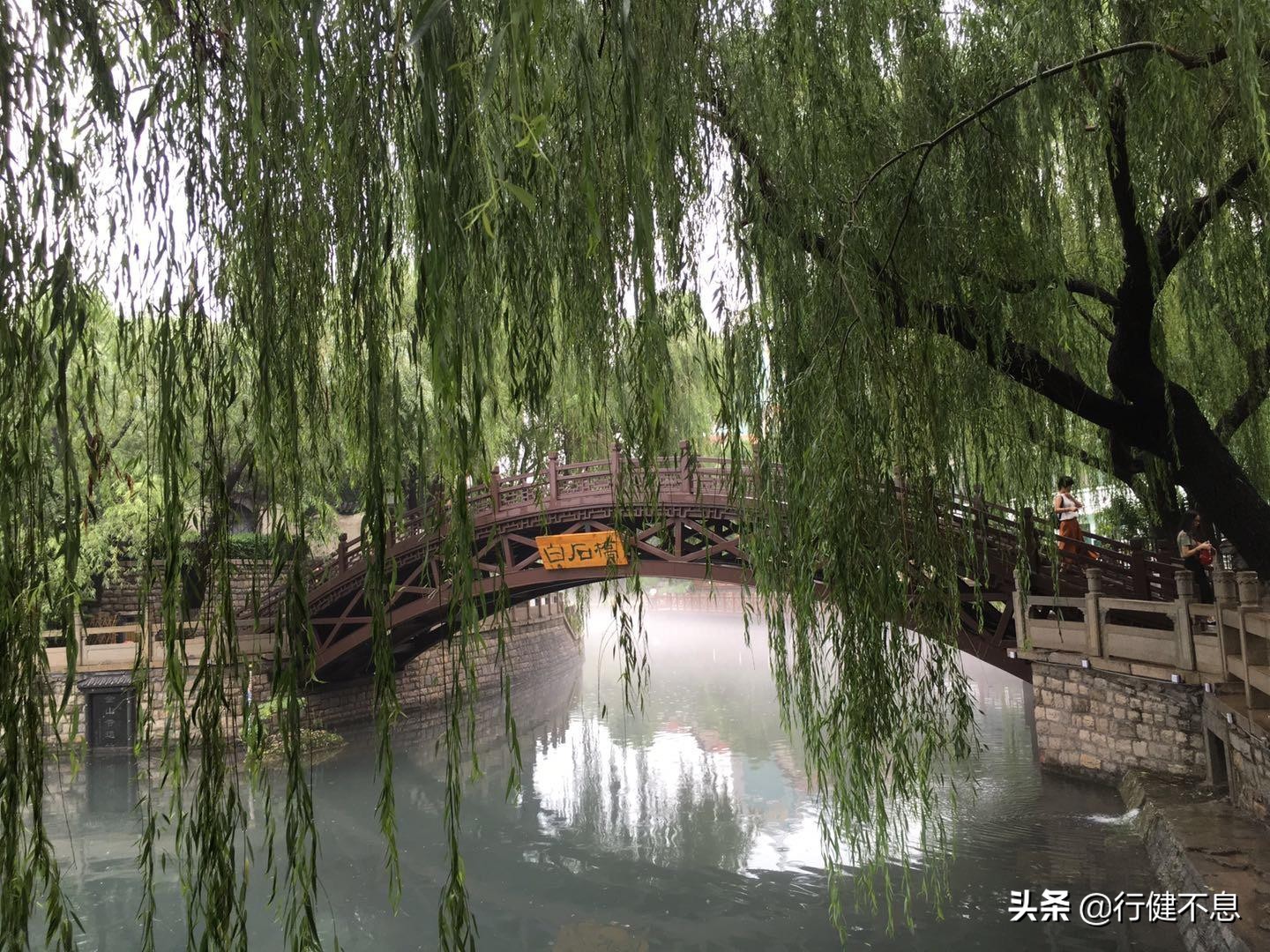 关于咏柳著名诗句及其赏析,咏柳经典诗词100首