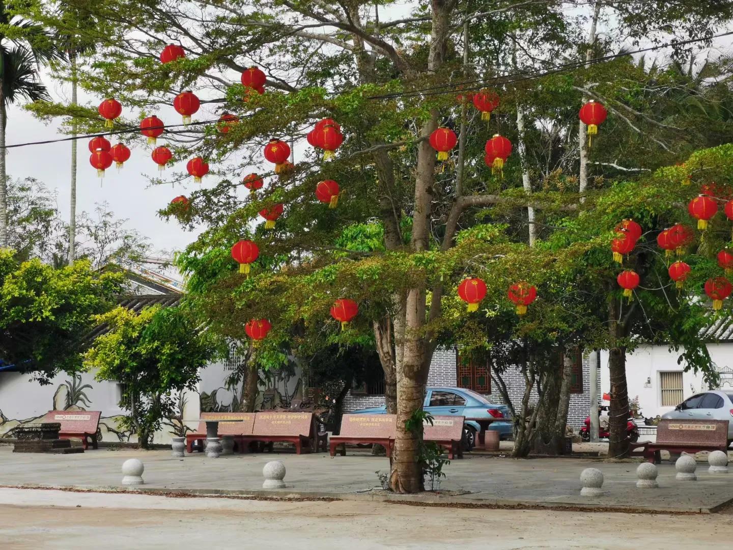 文昌椰林在哪里,文昌椰林靠海吗