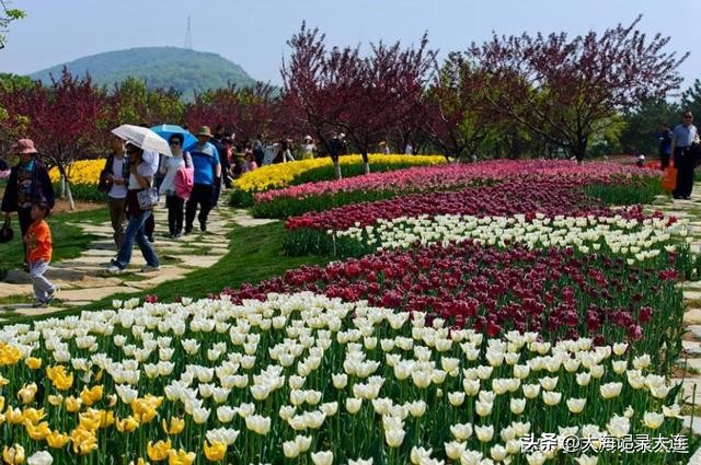 大连英歌石植物园几月最美,大连英歌石植物园景区全景图