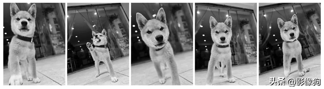 小米13Ultra影像评测,红米k70pro和小米13ultra哪个拍照好