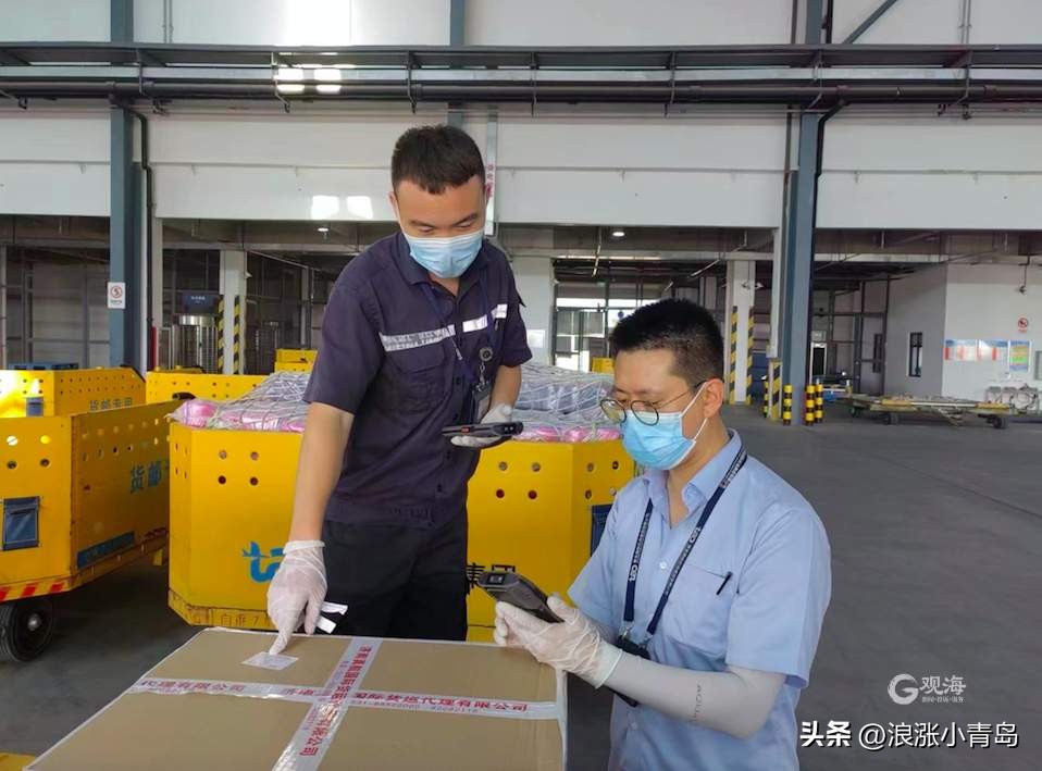 全国排名上升2位！强健“货运之翼”，青岛机场高飞远飞