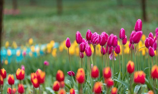 没有朋友没有社交只有自己一个人,没有朋友没有社交内心孤独怎么办