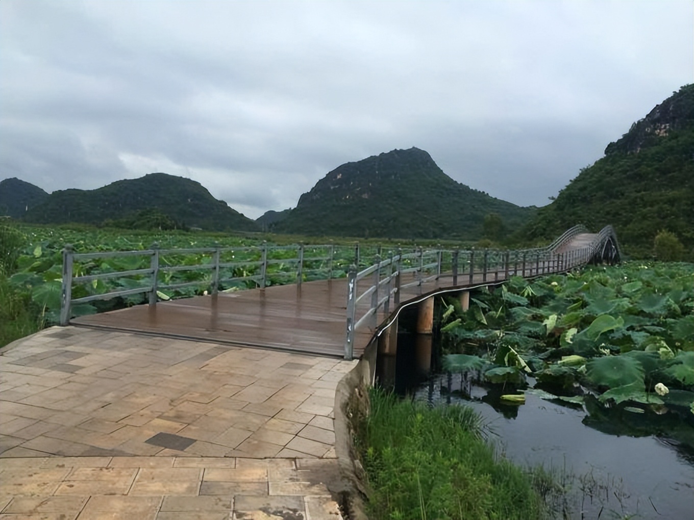 普者黑省旅游景点全攻略,普者黑风景区一天游玩攻略