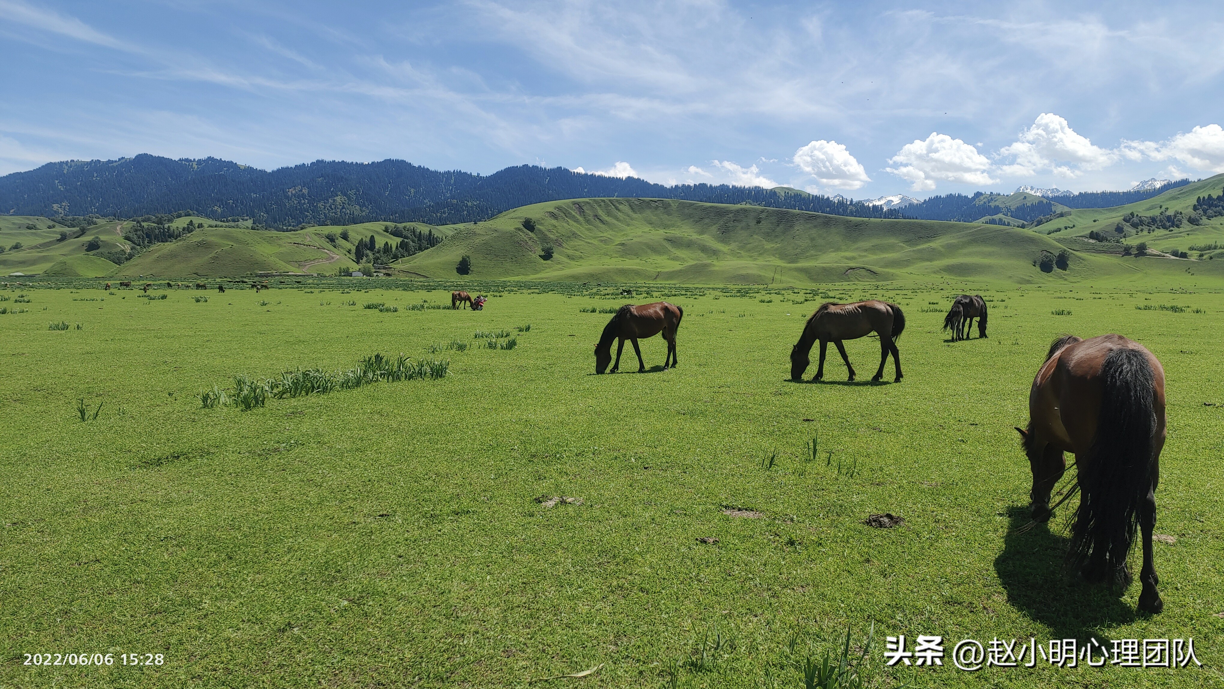 赵小明有效思维,赵小明心理学是哪个流派