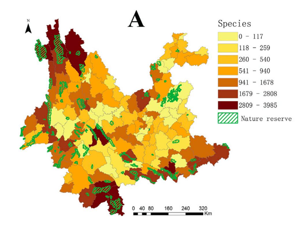 世界体型最大的牛现身云南,世界上体型最大的牛堪称牛魔王