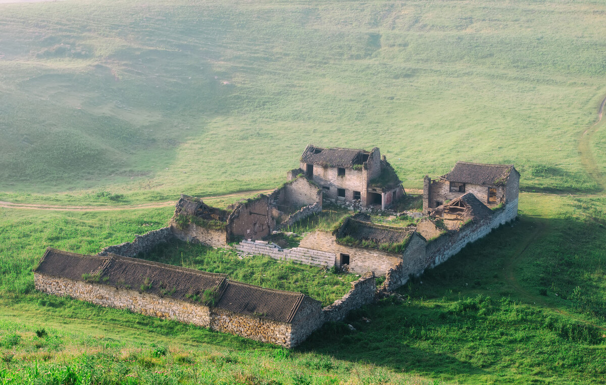 山*藏西**着个“小*疆新**”，花海湖泊草甸似仙境，不收费的满分避暑地