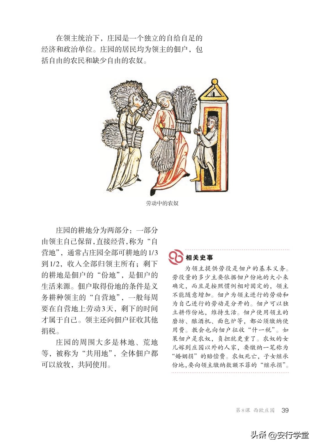 统编版初中历史九年级上册,乐乐课堂初中历史九年级上册