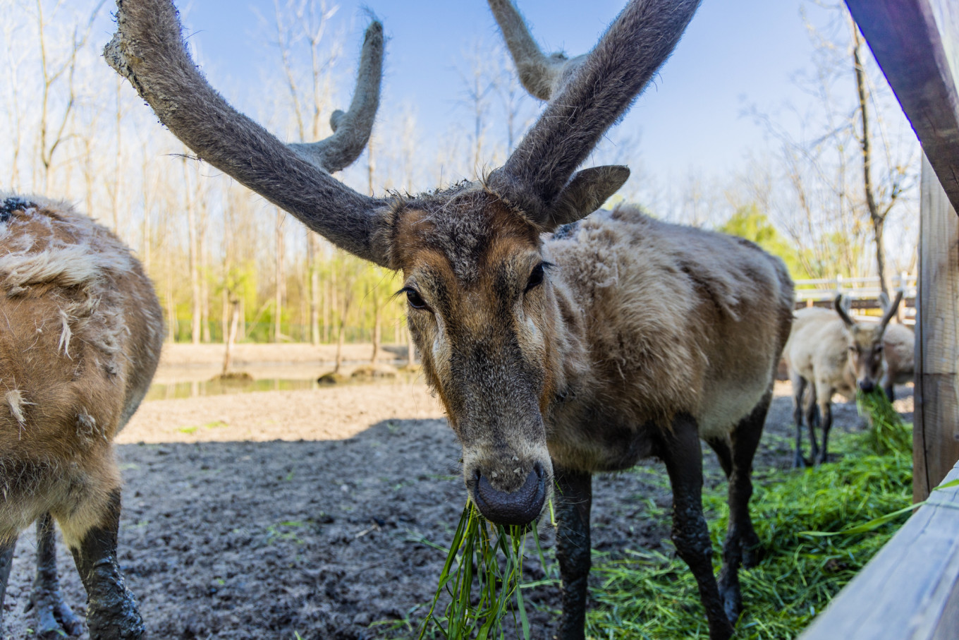 春日下江南杭州,春日下江南古镇