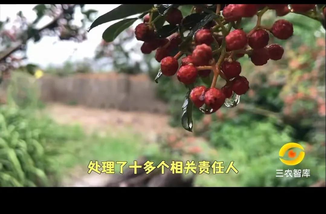 套取国家补贴是真的吗,套取国家补贴费怎么处理