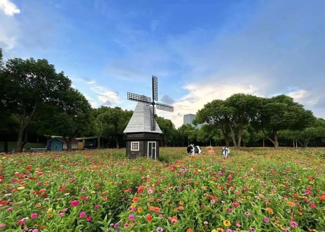 绚烂花海,绚烂花海现在还有吗