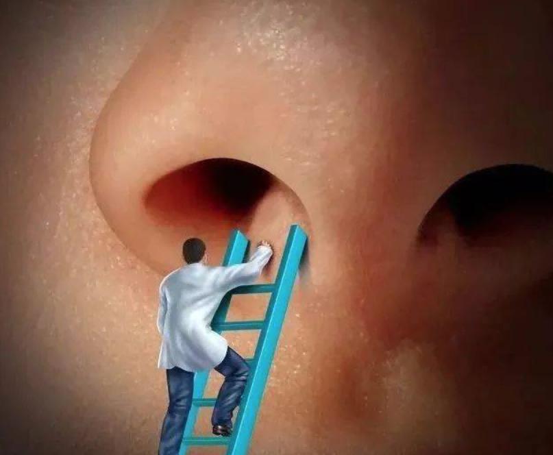 鼻毛为什么经常窜出来,鼻毛老是长出来是好还是坏