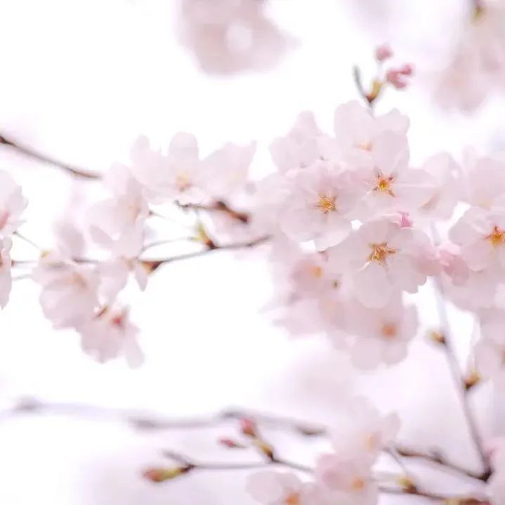 今日开通高铁,快上车流程