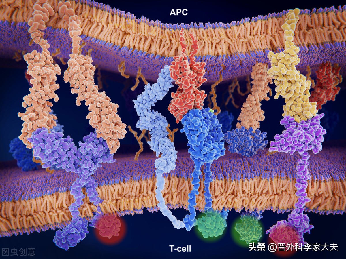我们能彻底战胜癌吗,我们能彻底消灭癌细胞吗