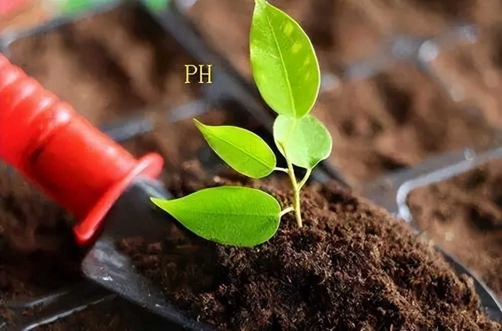 土壤测试仪在土壤能长期用吗,土壤ph测试仪制作