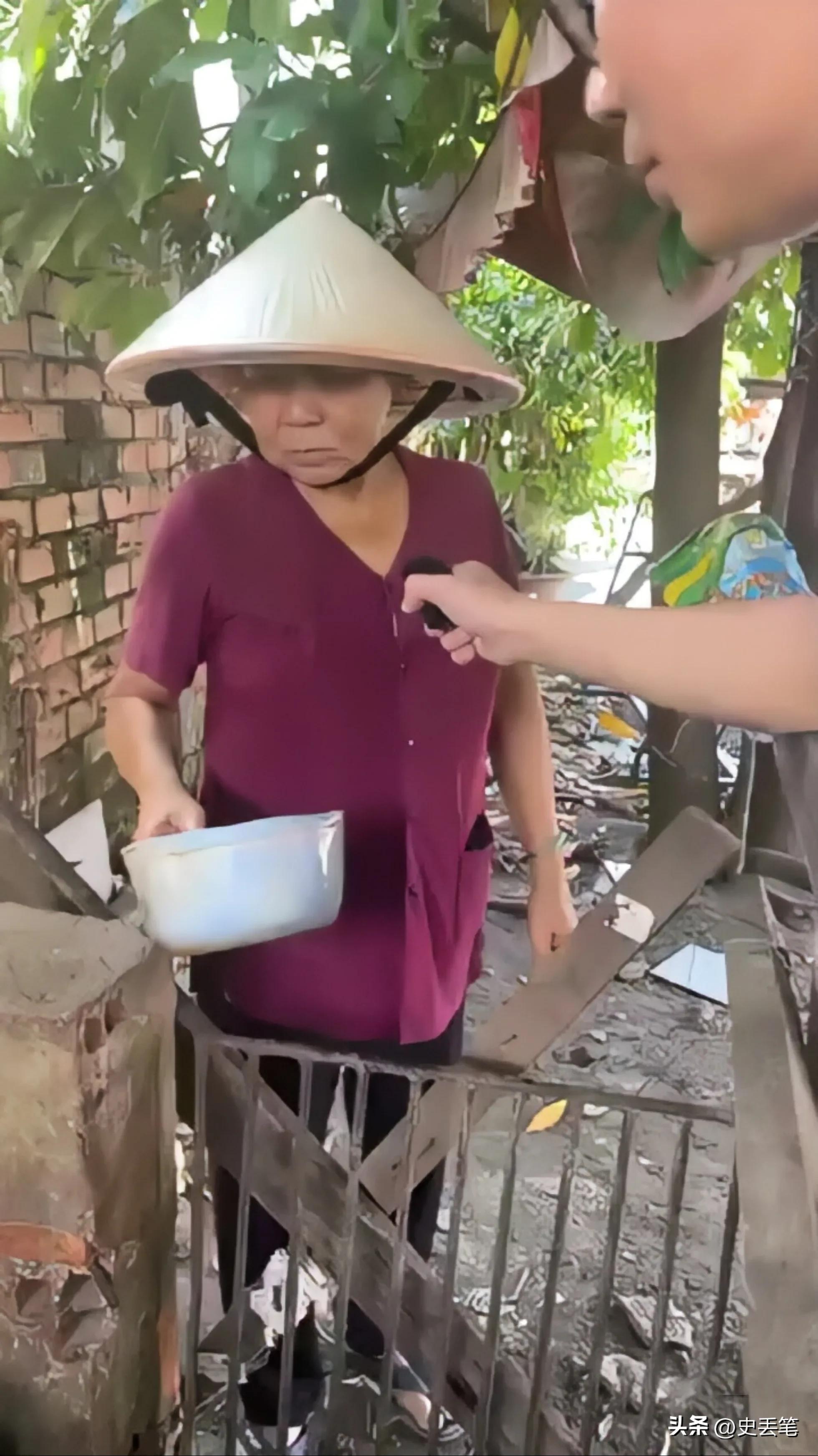 越南大妈家里养了只皱皮老母猪，称低于115万坚决不卖