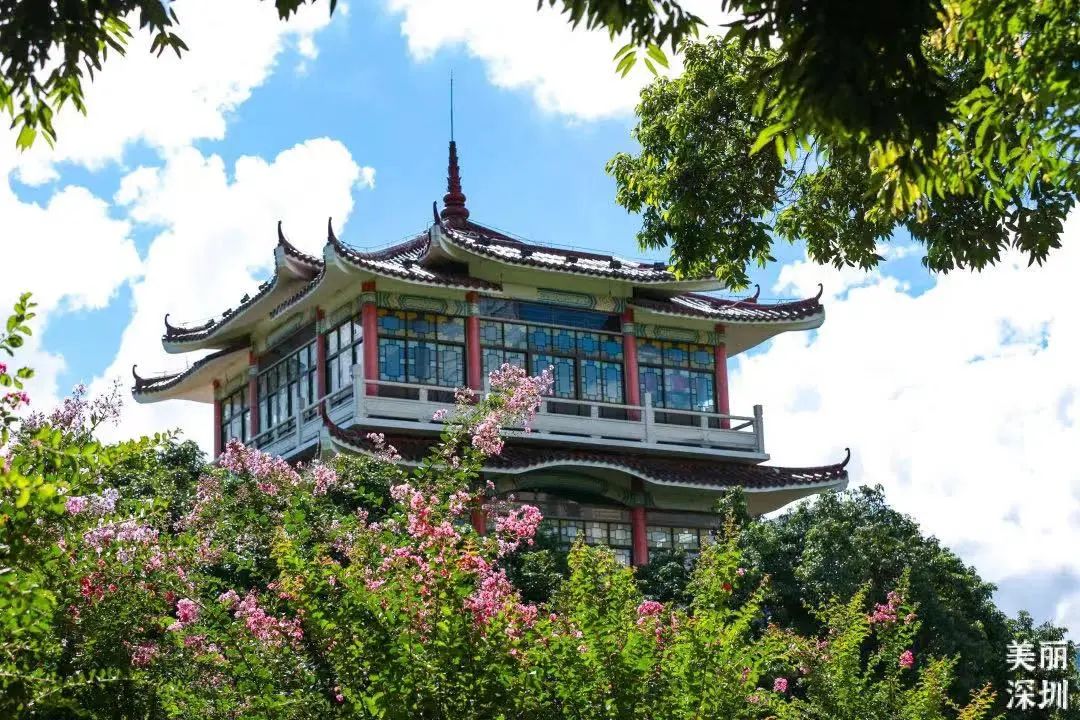 深圳福田免费公园排名前十名,福田中心公园游玩攻略